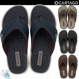 Chinelo Cartago Masculino Veneto III Original Novidade em Oferta na Shopee