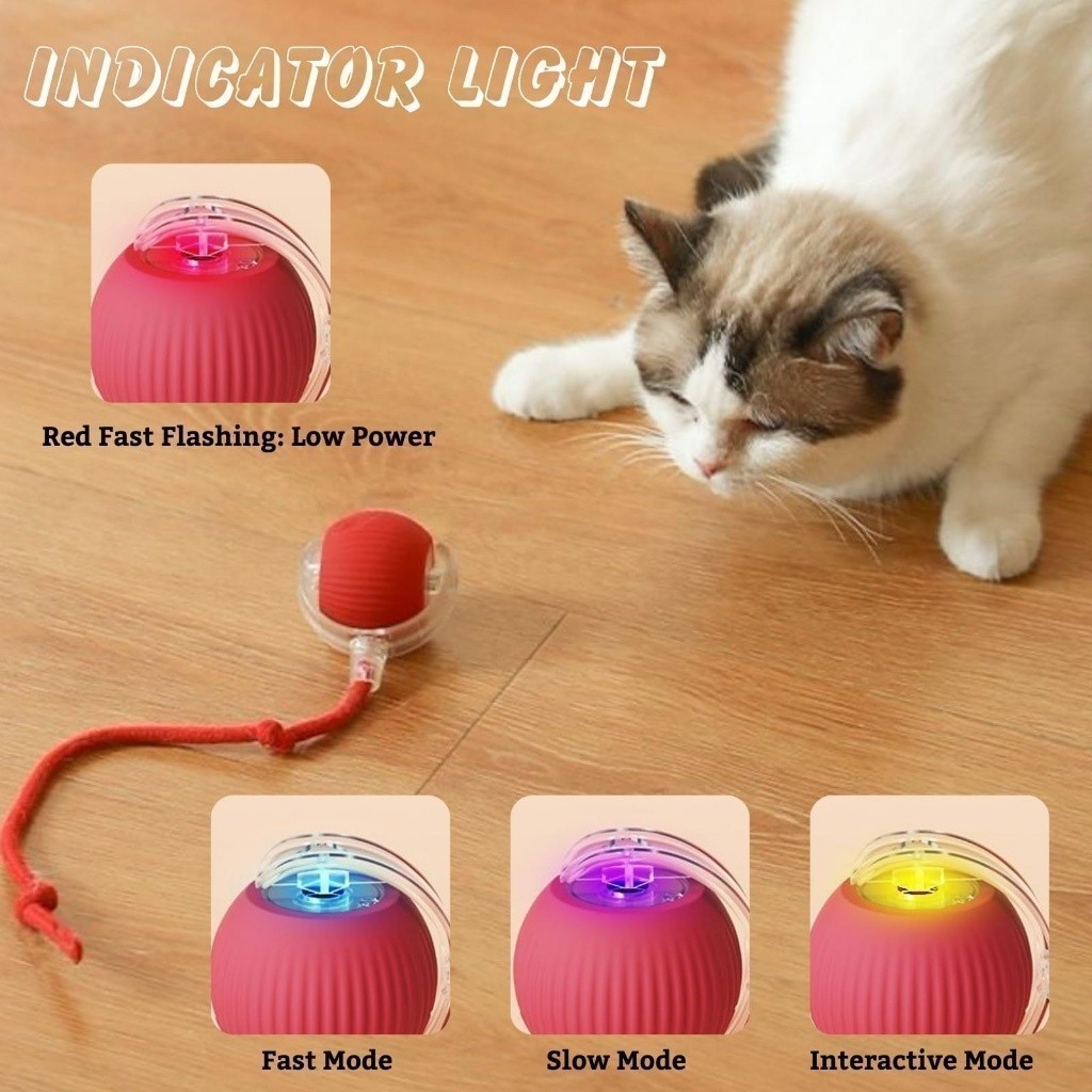 Bola de rolamento automática, brinquedo interativo para filhotes, treinamento elétrico para cães em Oferta na Shopee