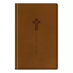 Bíblia Sagrada NVI | Letra Grande | Com Mapas Mentais | Marrom