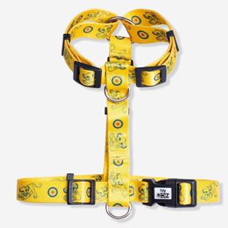 Peitoral Para Cachorro ZC Pets Simba Rei Leão - Disney em Oferta na Shopee