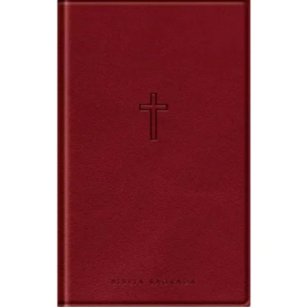 Bíblia Sagrada Slim | NAA | Com Mapas Mentais Palavras de Jesus em Vermelho | Capa Luxo Vinho em Oferta na Shopee