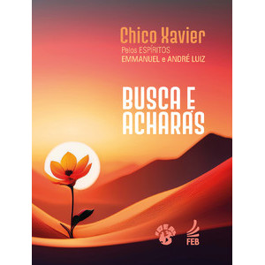 Busca e acharás   (loja 156 Piracicaba)