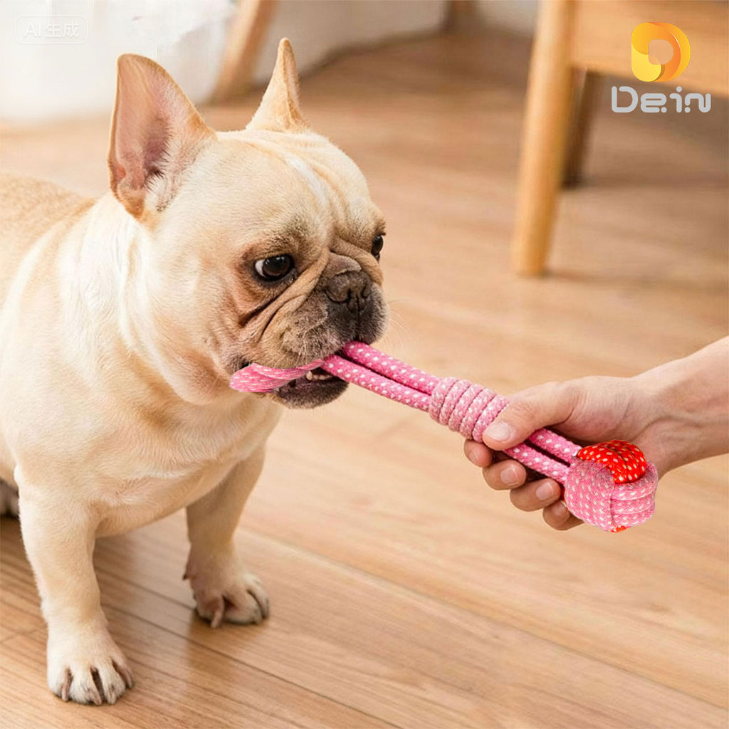 O que é Corda de Treinar? Guia e Onde Comprar | BuscaProdutos