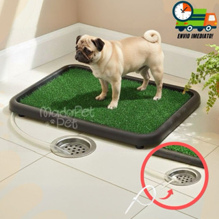 Banheiro Sanitário Com Dreno e Mangueira Lavável Para Cães Tapete Higiênico Grama Sintética Promoção em Oferta na Shopee