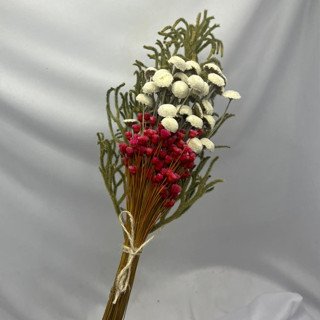 Buquês Flores Sempre Vivas Secas e Desidratadas, Rústico, Pinheirinho em Oferta na Shopee