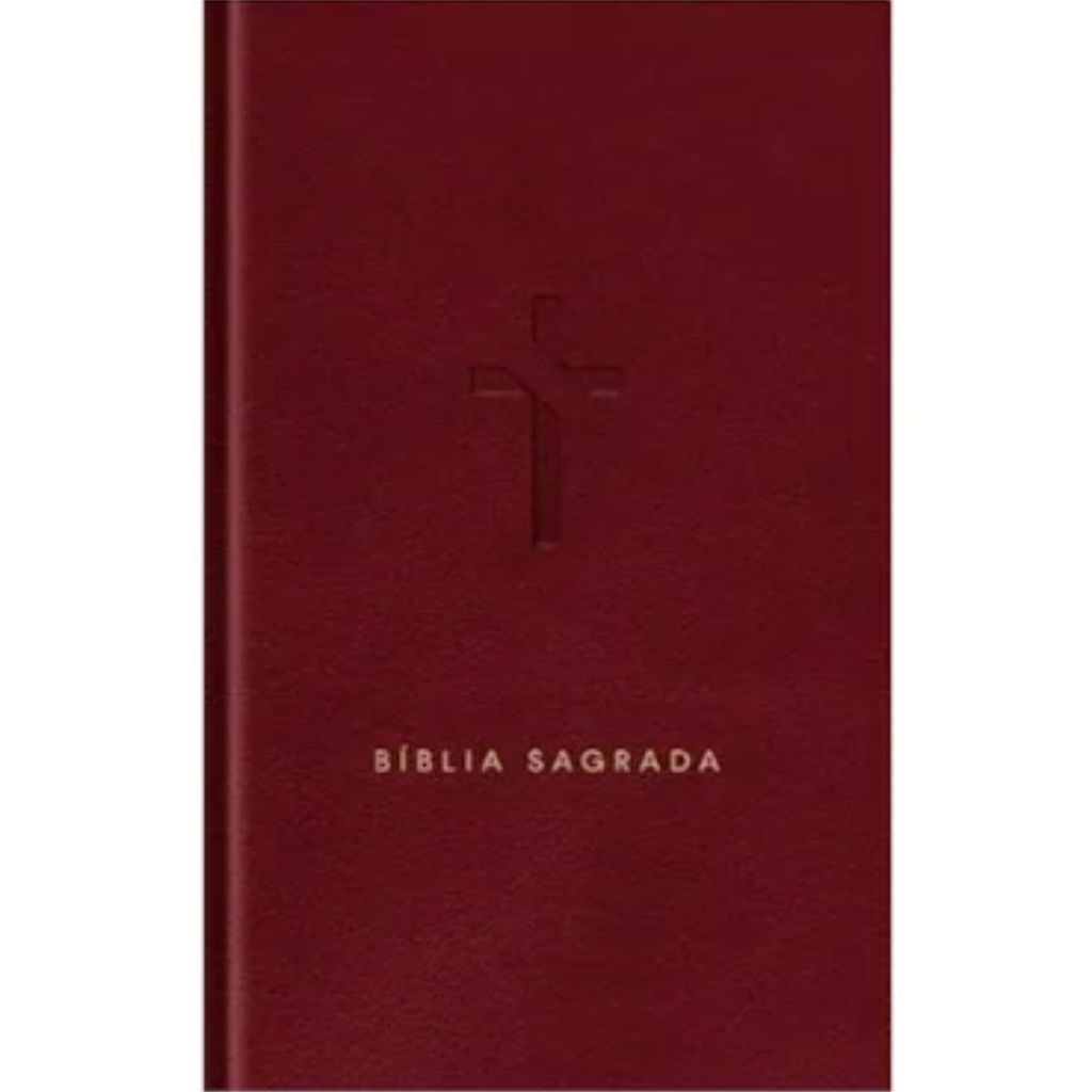 Bíblia Sagrada Slim | NVT | Com Mapas Mentais Palavras de Jesus em Vermelho | Capa Luxo Vinho