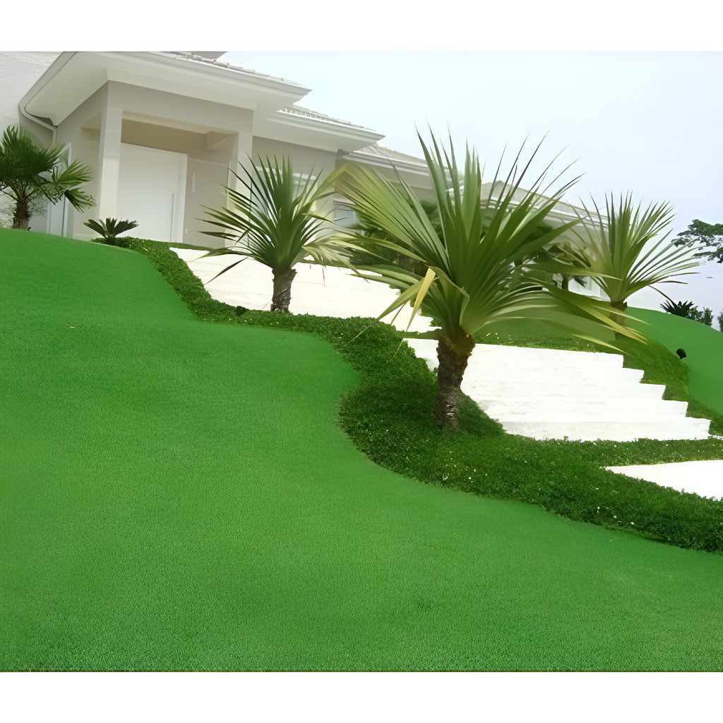 1000 Sementes Grama Esmeralda Para Pronta Entrega em Oferta na Shopee