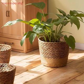 1 Peça Cesta de Palha Tecida para Plantas e Flores, Vaso de Armazenamento Rotim, Tecido à Mão
