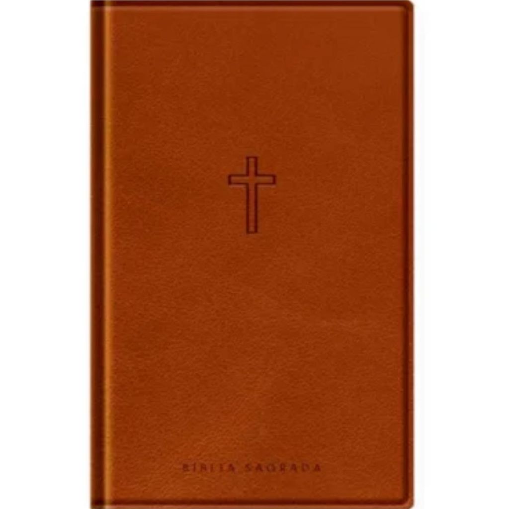 Bíblia Sagrada Slim | NAA | Com Mapas Mentais Palavras de Jesus em Vermelho | Capa Luxo Marrom