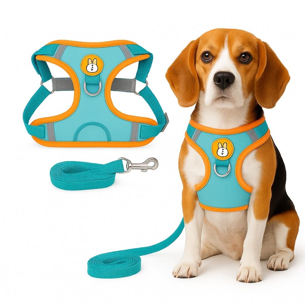 Peitoral Colete Refletivo com Guia 1,5m para Cachorro Gato Pet Resistente Passeio Seguro com Mosquetão Metálico Cães em Oferta na Shopee