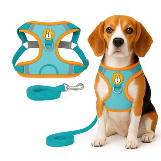 Peitoral Colete Refletivo com Guia 1,5m para Cachorro Gato Pet Resistente Passeio Seguro com Mosquetão Metálico Cães em Oferta na Shopee