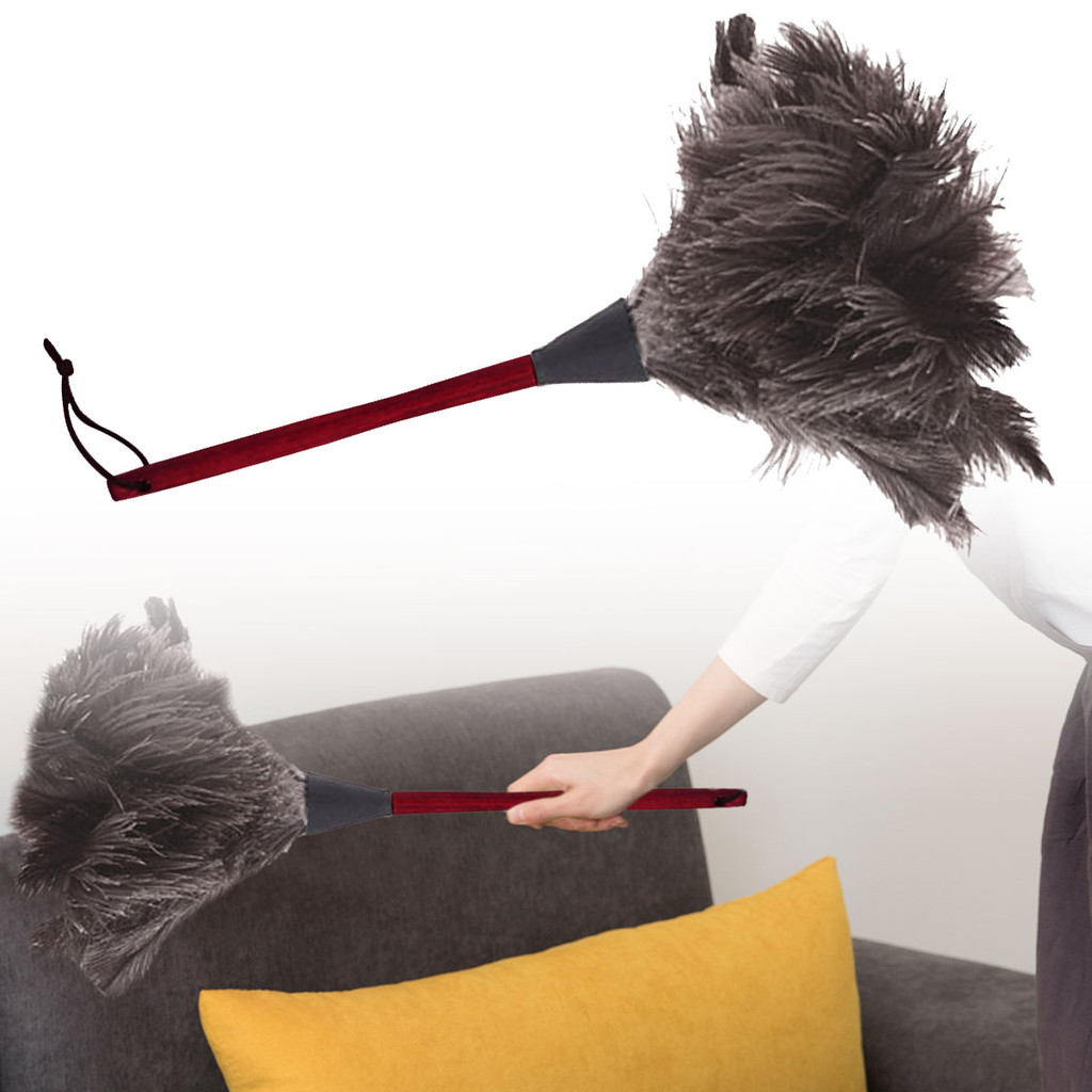 Espanador De Penas Com Cabo De Madeira , Escova Antiestática Para Remoção De Poeira , Ferramenta De Limpeza E Lavagem