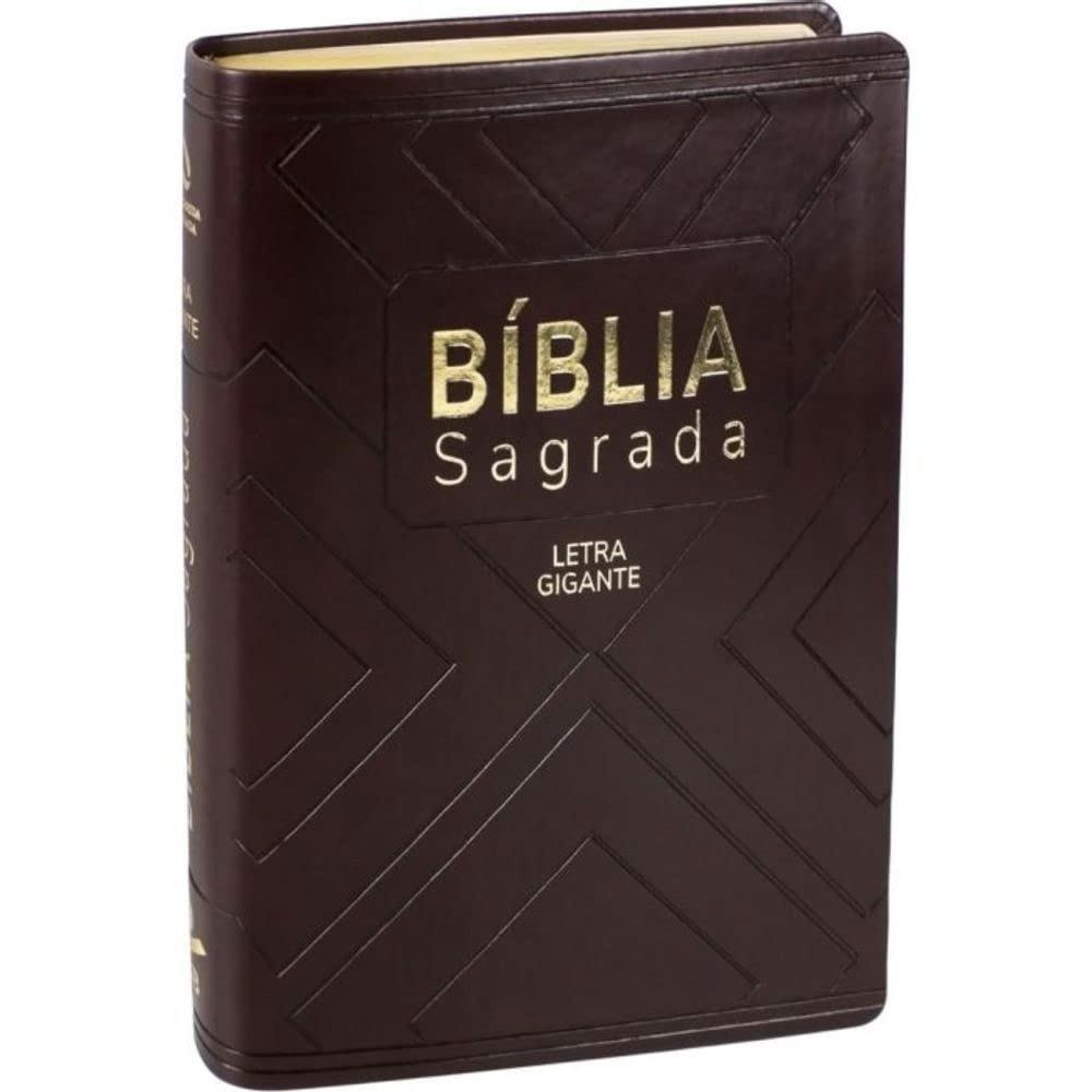 Bíblia Sagrada NAA | Letra Gigante | com Índice | Marrom em Oferta na Shopee