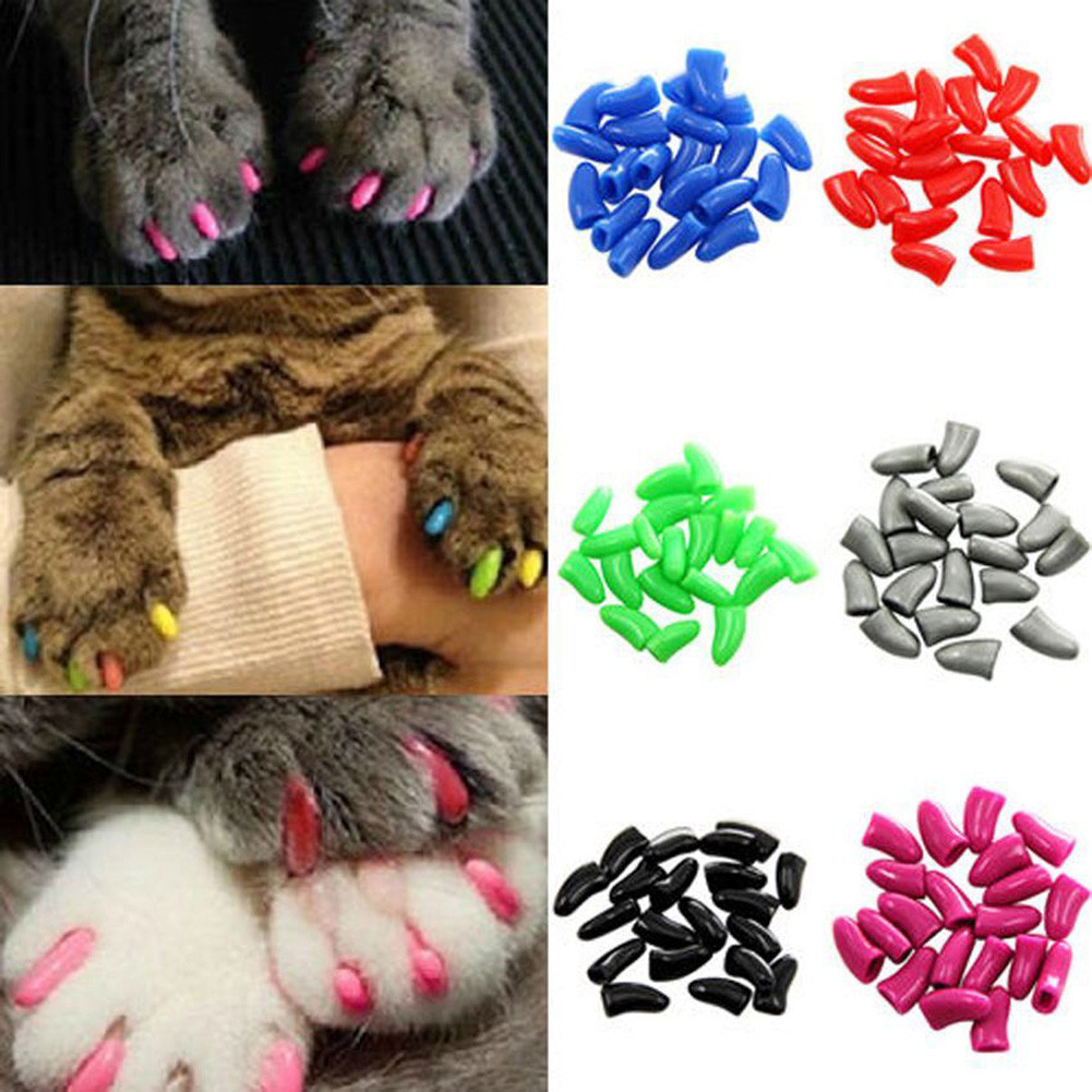 20 Pçs Pet Silicone Capa De Unhas Gato Cão Pata Garra Caso Protetor Suprimentos Animais Acessórios