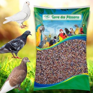 Mistura para Pombos Tradicional - 14 grãos - 5kg em Oferta na Shopee