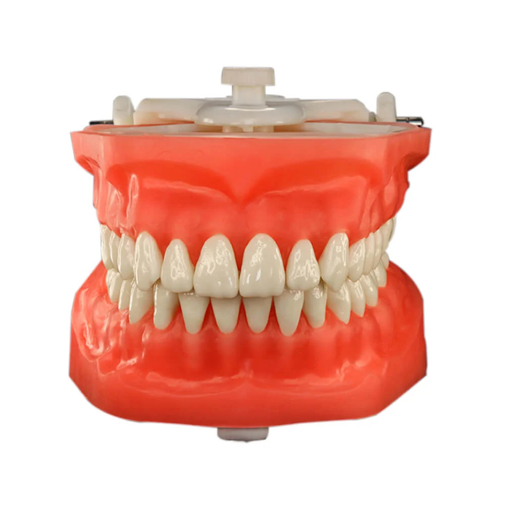 Manequim Top Macromodelo PD 112 - Pronew