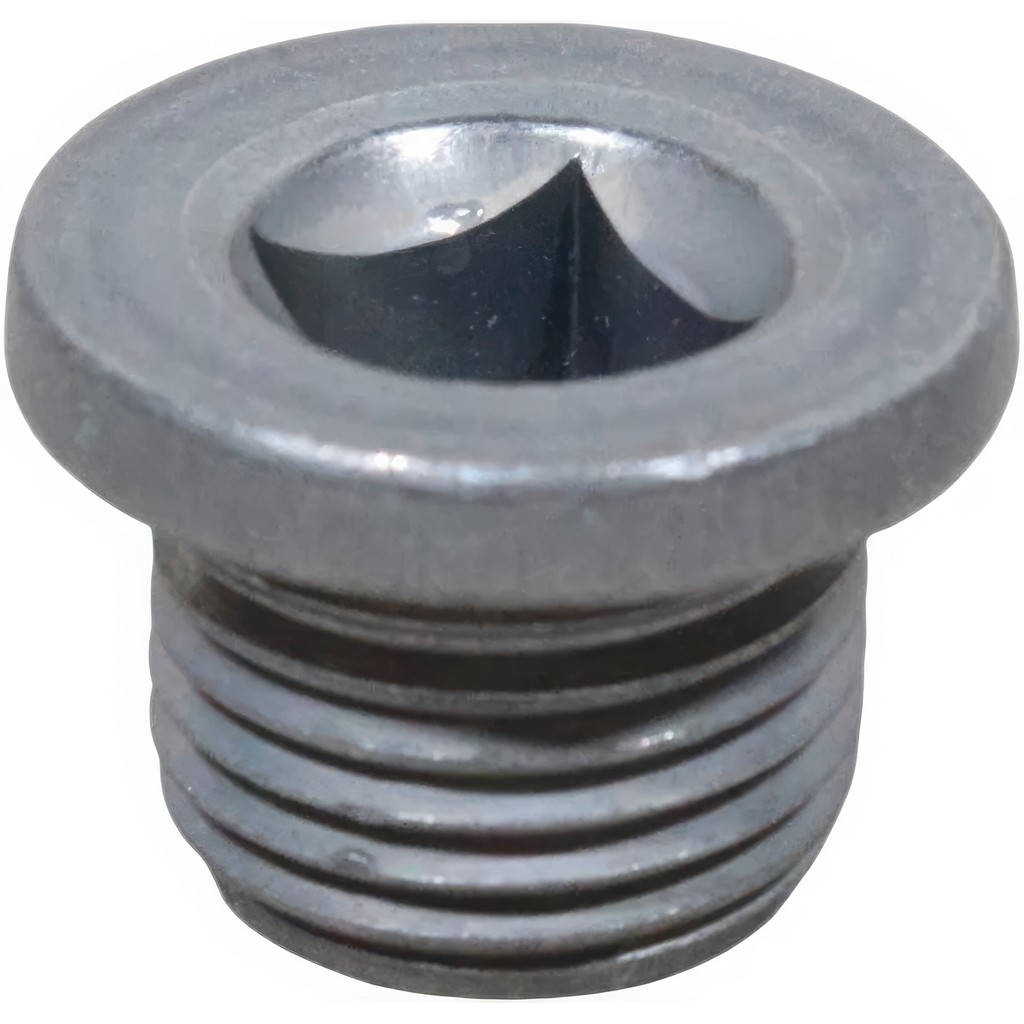 Bujão do Cárter Motor/Câmbio Original Renault 7703075347