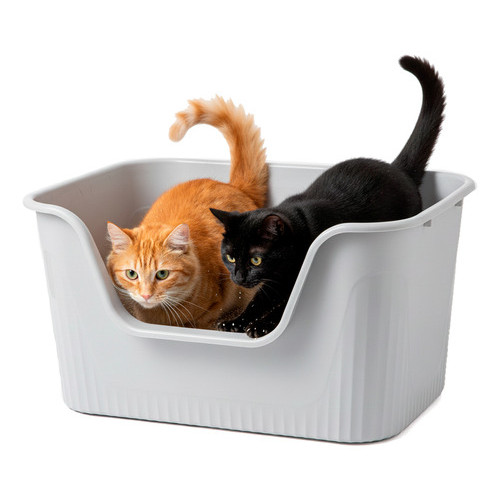 Caixa Areia Higiênica para Gatos 63cm Bandeja Banheiro Aberto Sanitário anti sujeira Borda Alta