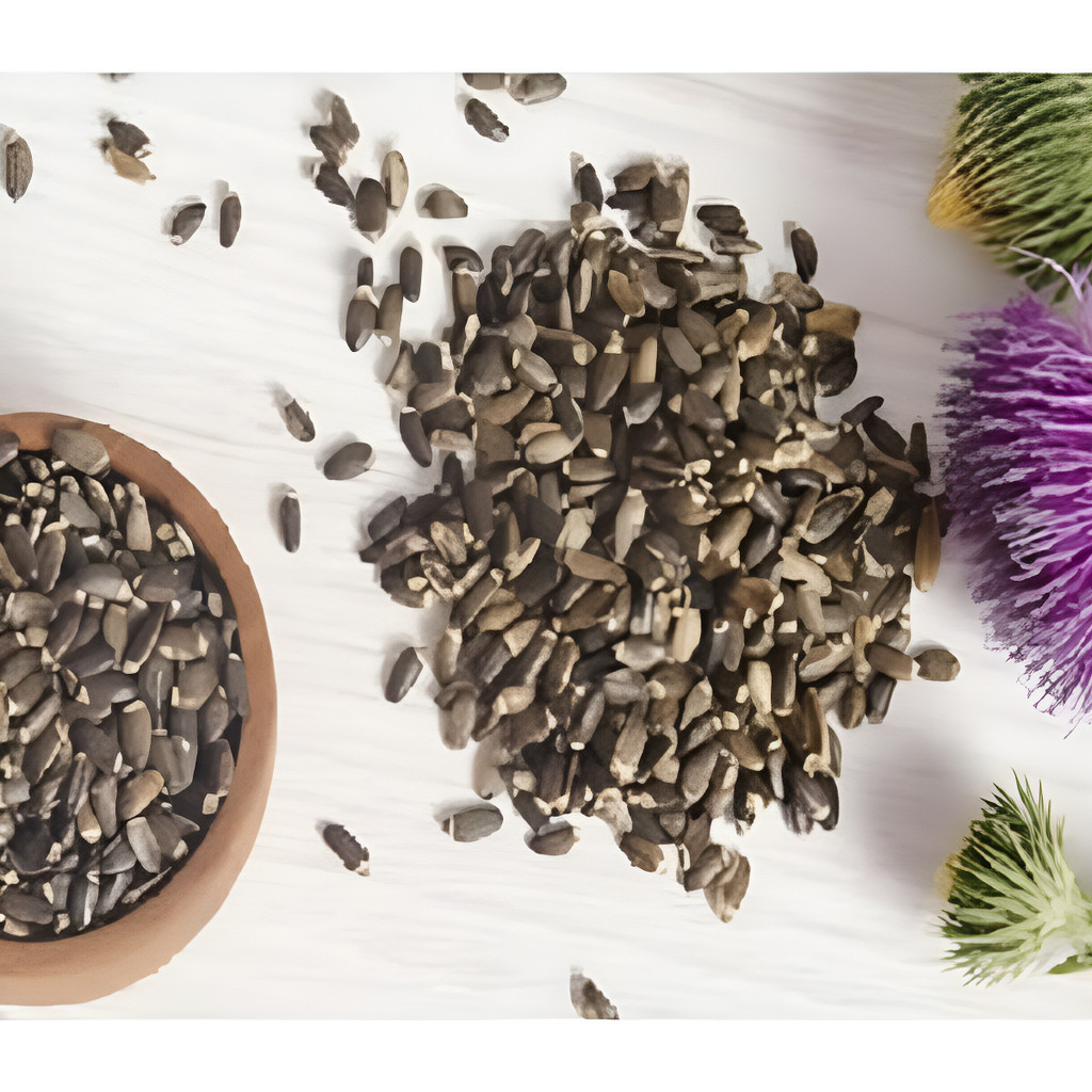 1000 Sementes De Cardo Mariano - Cardo Santo em Oferta na Shopee