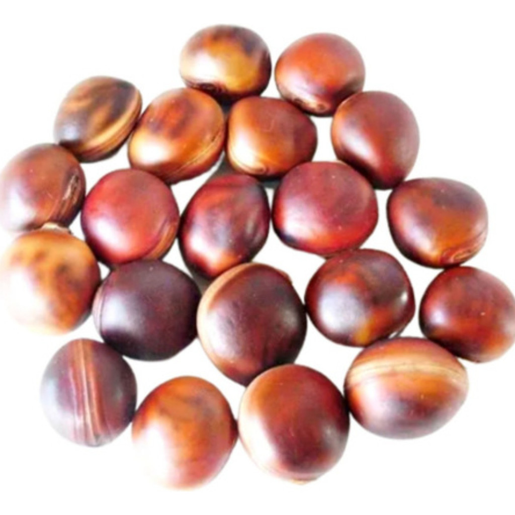 200 Sementes Olho De Boi Natural Sem Furo Macunã De Qualidad em Oferta na Shopee