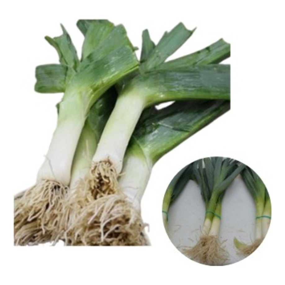 Alho Gigante - Comprar com Melhor Preço em Essenciais para Culinária