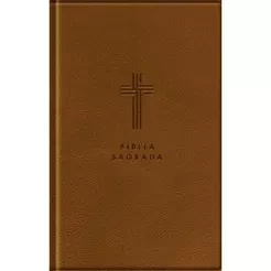 Bíblia Sagrada NVI | Letra Gigante | Com Mapas Mentais | Marrom