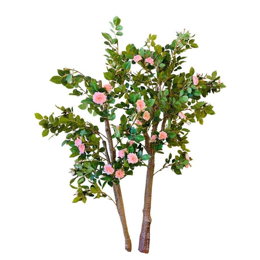 Planta Decorativa Arranjo Folhagem Roseira Grande Para Casa