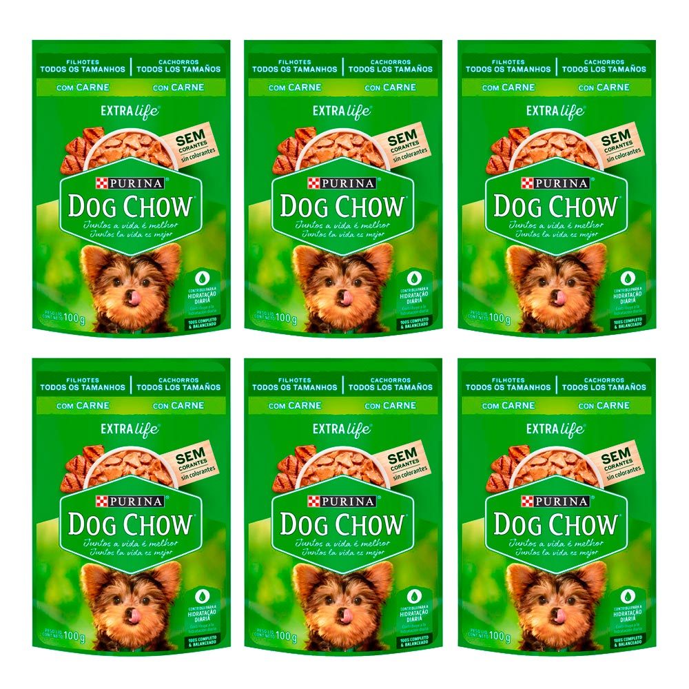Kit 6 Ração Úmida para Cachorro Dog Chow Filhotes Extra Life Sabor Carne em Sachê 100g