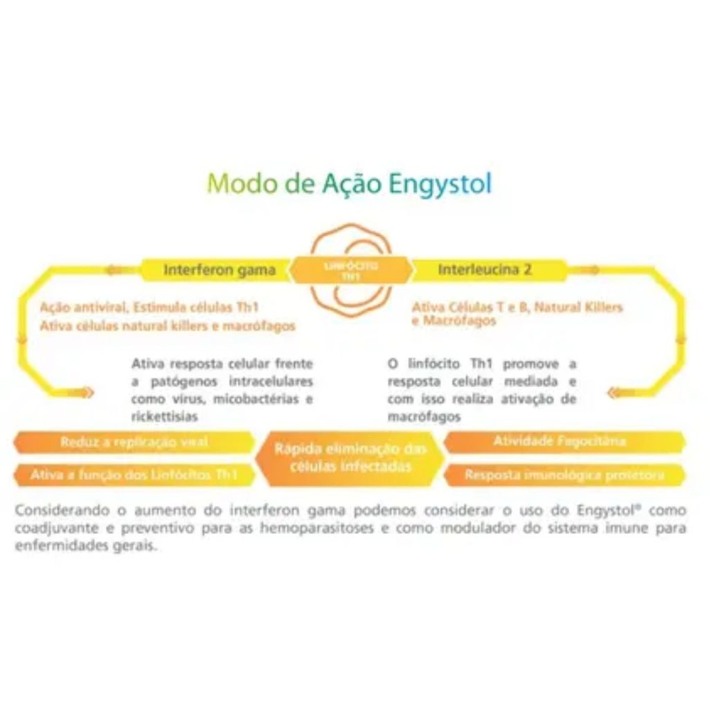 Detalhes do Engystol  - Sistema Imunológico e Doenças Virais 25comp