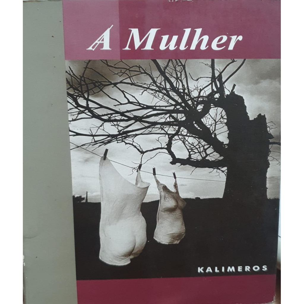 A Mulher: Na Psicanalise e na Arte - Kalimeros autor Stella Jimenez; Gloria Sadala
