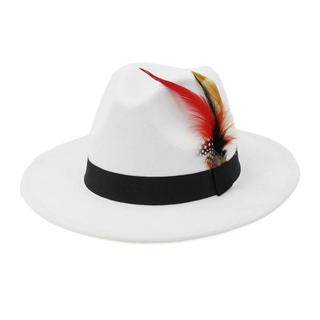 Chapéu de moda para homens e mulheres, estilo fedora, chapéu panamá com aba larga e penas, chapéu triangular de jazz, ch