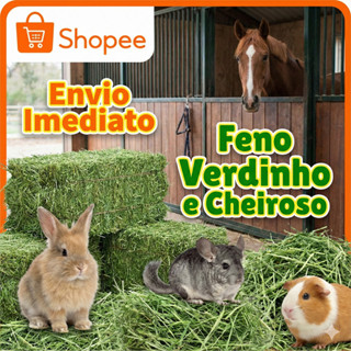 Feno Seco em Pacotes (1kg, 2kg, 3kg,4kg,5kg) - Alimentação Roedores, Cabras e Cavalos em Oferta na Shopee