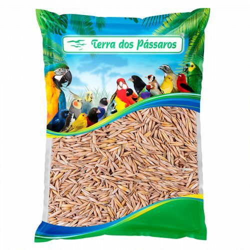 Aveia com Casca: Onde Comprar | BuscaProdutos