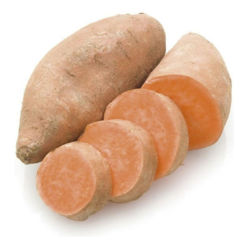 Batata Yacon 1000 Sementes Livre De Agrotóxicos