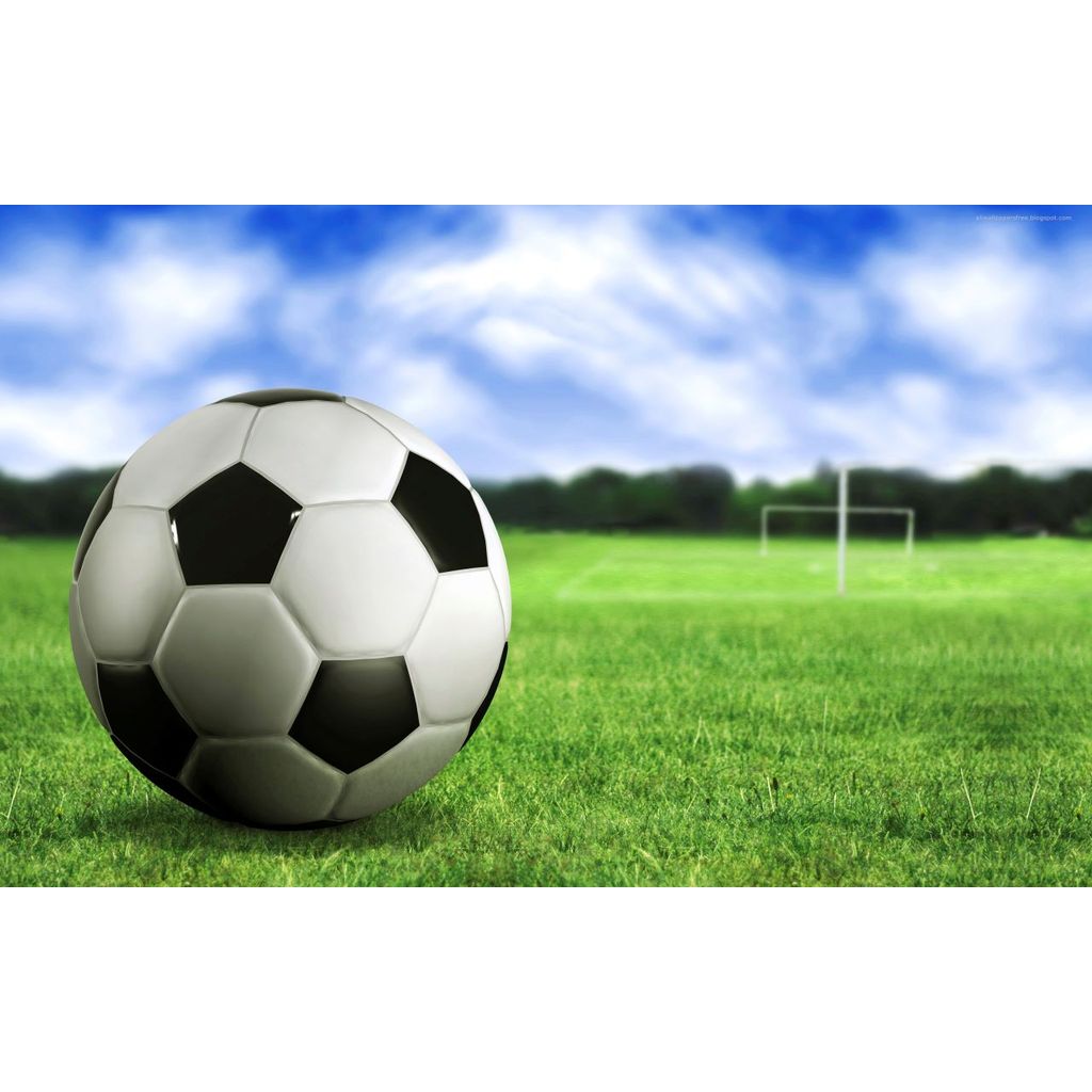 Painel retangular tecido Subl decor CAMPO DE FUTEBOL 220X175