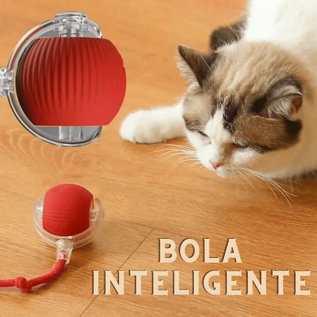 Bolinha Inteligente Interativa Automática Rolante -Cães e Gatos em Oferta na Shopee