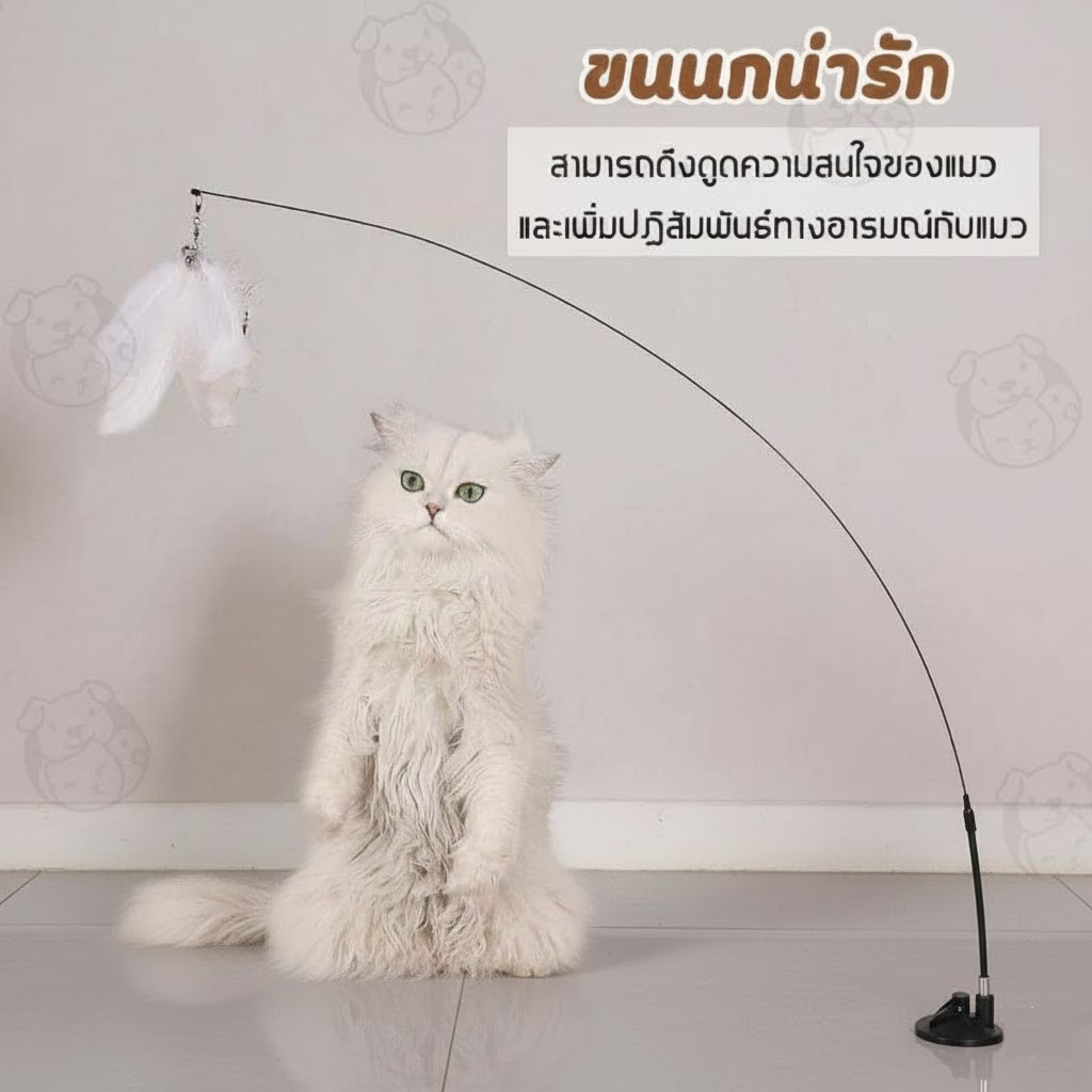 ของเล่นแมว ไม้ตกแมวพร้อมขนนกและกระดิ่ง รุ่นฐานดูดติดพื้น/กระจก ราคาถูก พร้อมส่ง - ภาพที่ 5