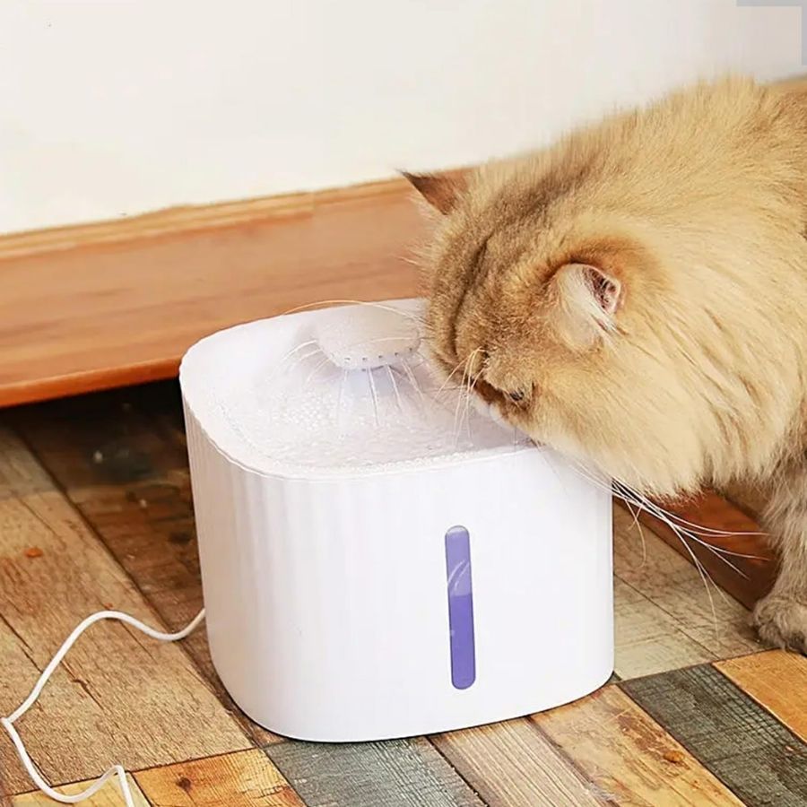 Fonte De Água Pet Bebedouro Automático 3 Litros Com Filtro Triplo Iluminação LED Cães Gatos Shopee em Oferta na Shopee