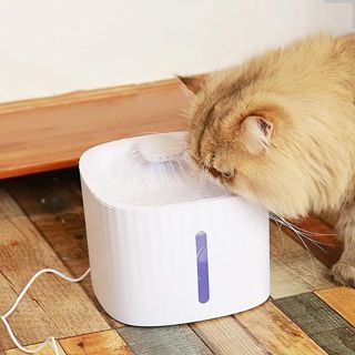 Fonte De Água Pet Bebedouro Automático 3 Litros Com Filtro Triplo Iluminação LED Cães Gatos Shopee em Oferta na Shopee