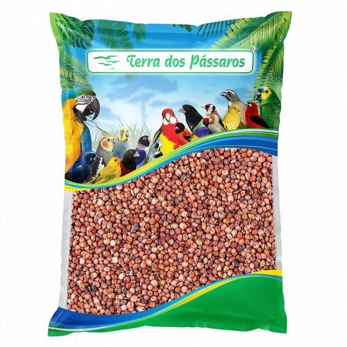 Sementes de Sorgo Vermelho para Pássaros - 500g em Oferta na Shopee