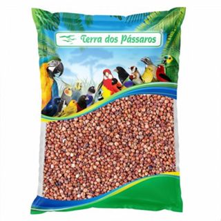 Sementes de Sorgo Vermelho para Pássaros - 500g em Oferta na Shopee