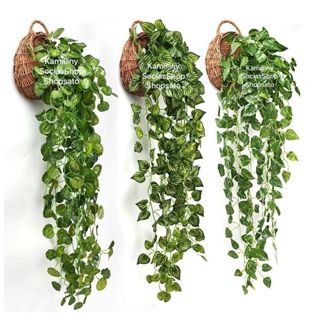 Arranjo 2M De Pendentes Artificiais + 1 Vaso Trançado de Planta Decoração Casa, Casamento, Quarto, Escritório em Oferta na Shopee