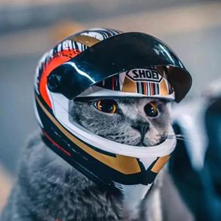 Capacete Para Animais De Estimação Chapéu Cães Gatos Motocicleta em Oferta na Shopee