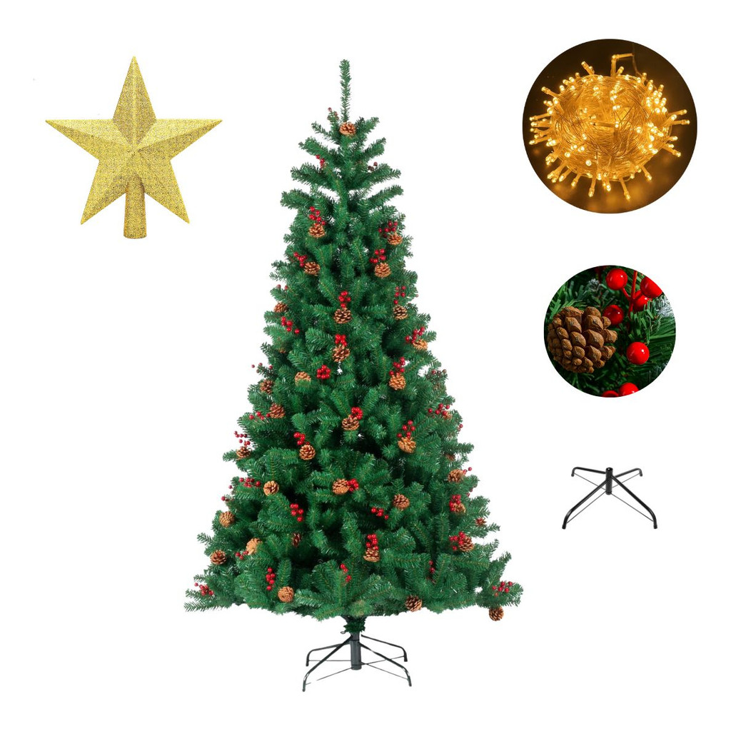 Azevinhos de Natal: Onde Comprar | BuscaProdutos