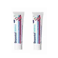 Hidratante Multirestaurador Rosa Mosqueta 2un Bepantol Derma