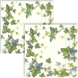 Guardanapo para Decoupage IHR 33x33 cm Flor de Inverno Ivy com 2 Unidades - Ref. 213.586 em Oferta na Shopee