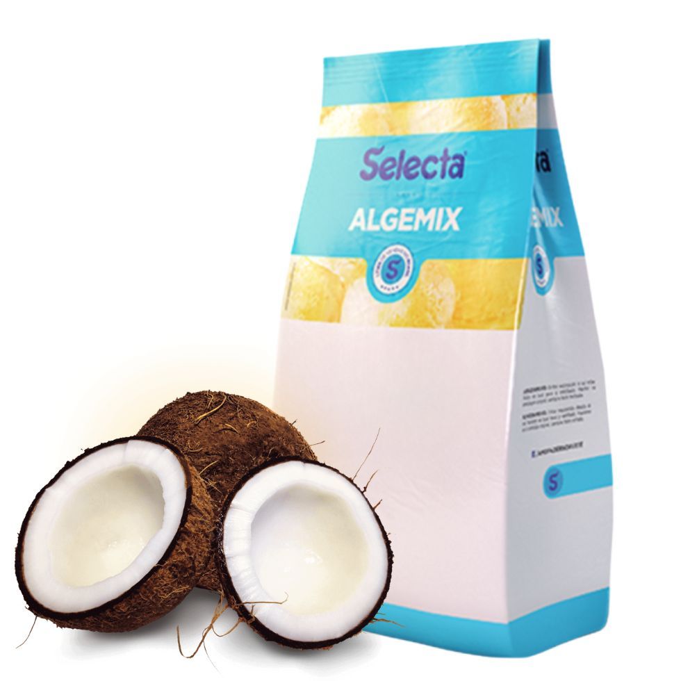 Algemix sabor Coco 1kg Base para Sorvete Selecta Saborizante em Pó
