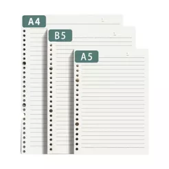 REFIL 60 FOLHAS CADERNO INTELIGENTE FICHARIO A4 A5 B5
