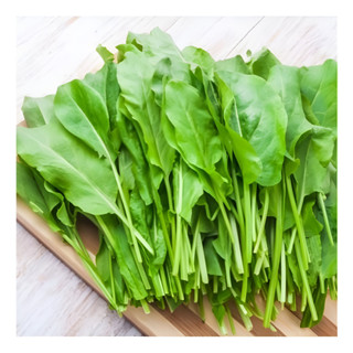 1000 Sementes Azedinha Rumex Acetosa Folha Larga Envio Rapid em Oferta na Shopee