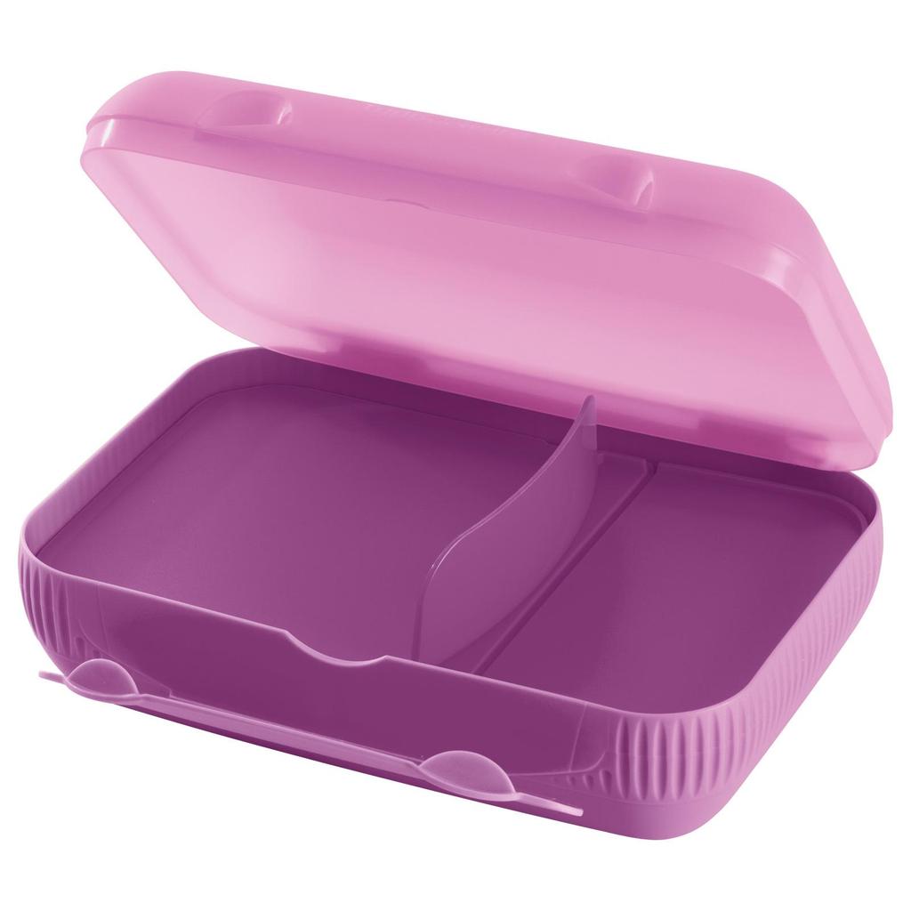 Porta Lanche Tupperware com Divisórias em Oferta na Shopee